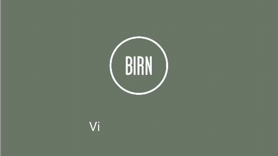 BIRN Group - Logoer DK BIRN Group - Logoer DK