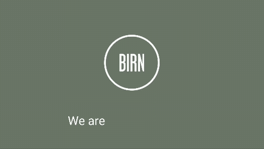 BIRN Group - Logoer UK BIRN Group - Logoer UK